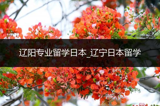 辽阳专业留学日本_辽宁日本留学