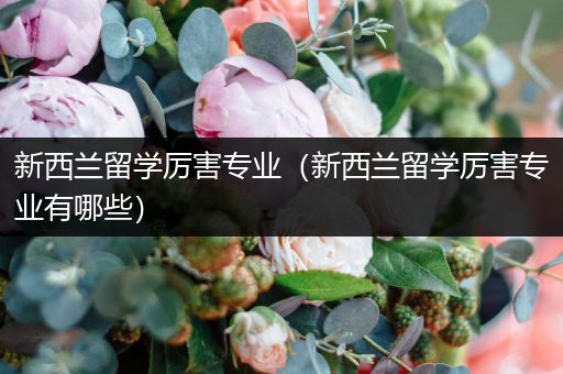 新西兰留学厉害专业（新西兰留学厉害专业有哪些）