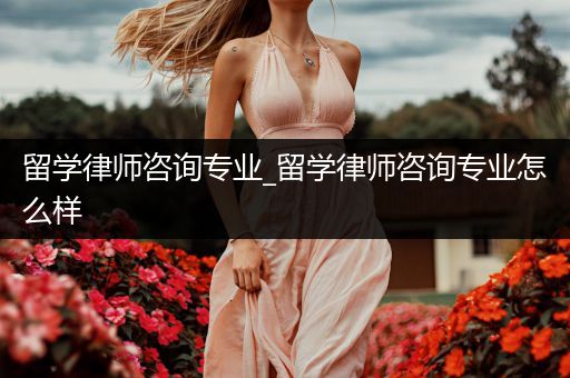 留学律师咨询专业_留学律师咨询专业怎么样