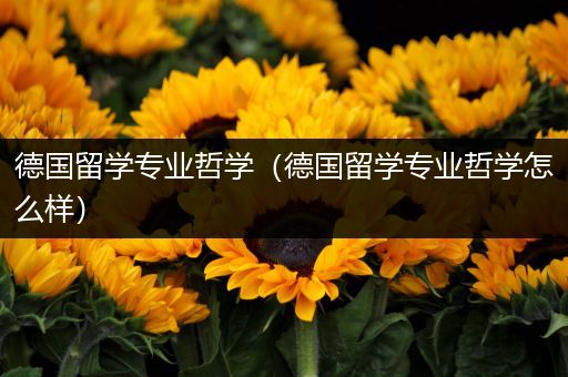 德国留学专业哲学（德国留学专业哲学怎么样）