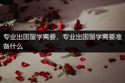 专业出国留学需要，专业出国留学需要准备什么