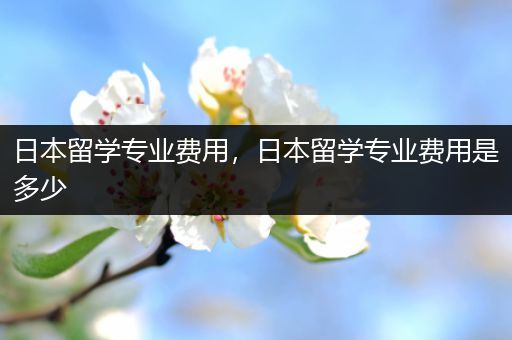 日本留学专业费用，日本留学专业费用是多少