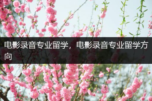 电影录音专业留学，电影录音专业留学方向