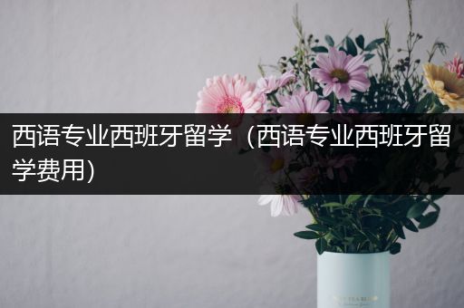 西语专业西班牙留学（西语专业西班牙留学费用）