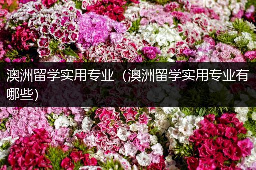 澳洲留学实用专业（澳洲留学实用专业有哪些）