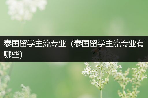 泰国留学主流专业（泰国留学主流专业有哪些）