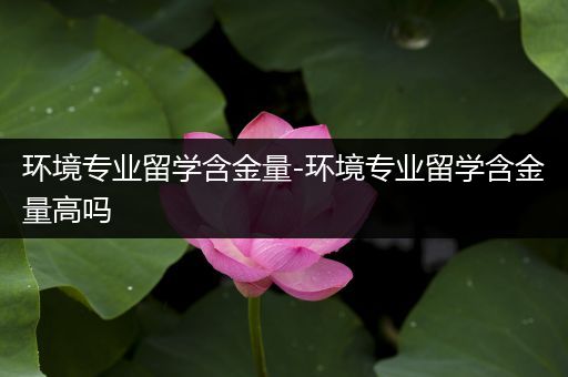 环境专业留学含金量-环境专业留学含金量高吗