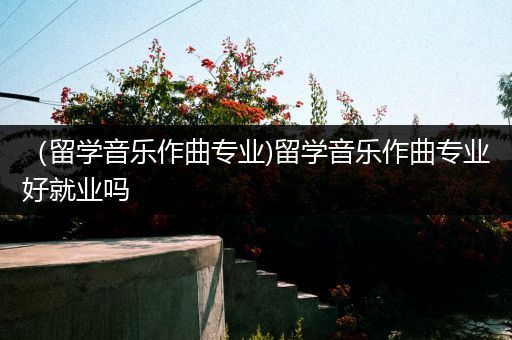 （留学音乐作曲专业)留学音乐作曲专业好就业吗