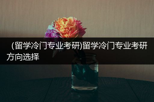 （留学冷门专业考研)留学冷门专业考研方向选择