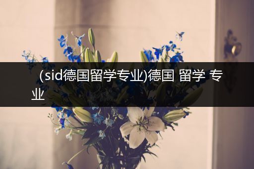 （sid德国留学专业)德国 留学 专业