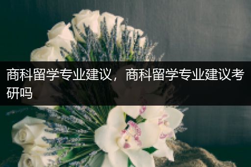 商科留学专业建议，商科留学专业建议考研吗