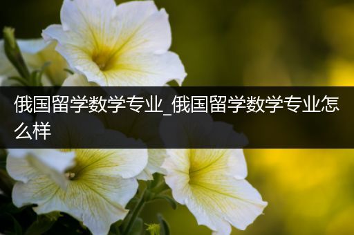 俄国留学数学专业_俄国留学数学专业怎么样