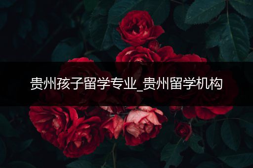 贵州孩子留学专业_贵州留学机构