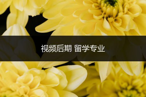 视频后期 留学专业