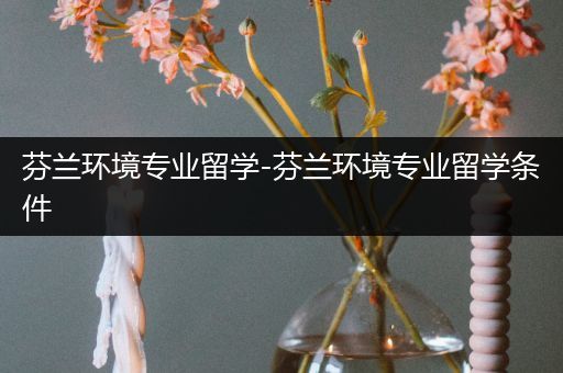 芬兰环境专业留学-芬兰环境专业留学条件