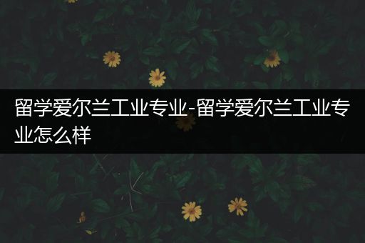 留学爱尔兰工业专业-留学爱尔兰工业专业怎么样