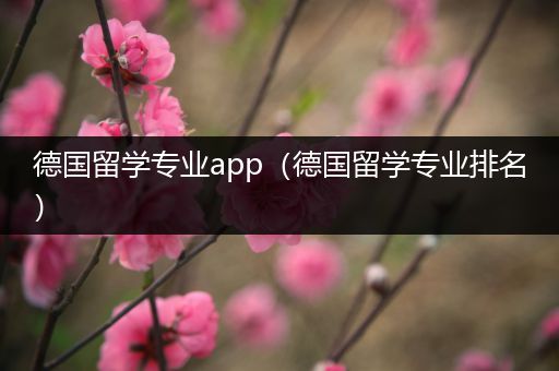 德国留学专业app（德国留学专业排名）