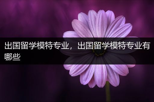 出国留学模特专业，出国留学模特专业有哪些