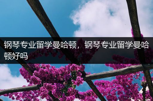 钢琴专业留学曼哈顿，钢琴专业留学曼哈顿好吗