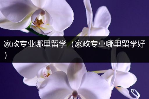 家政专业哪里留学（家政专业哪里留学好）