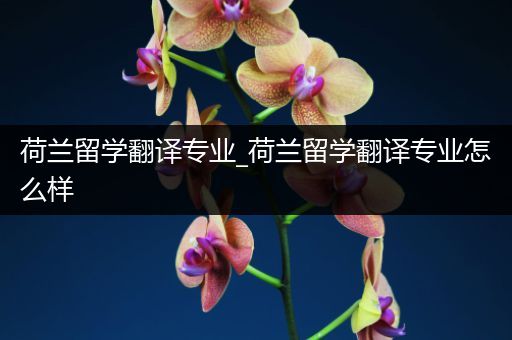 荷兰留学翻译专业_荷兰留学翻译专业怎么样