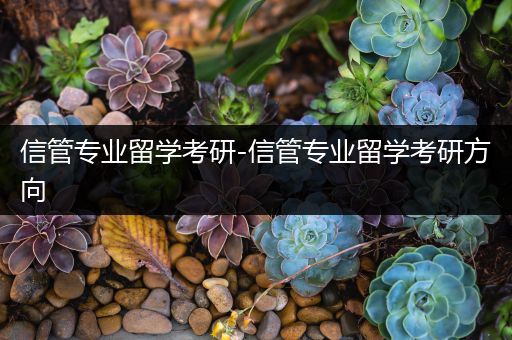 信管专业留学考研-信管专业留学考研方向