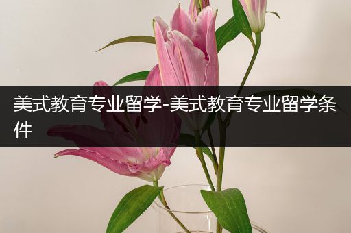 美式教育专业留学-美式教育专业留学条件