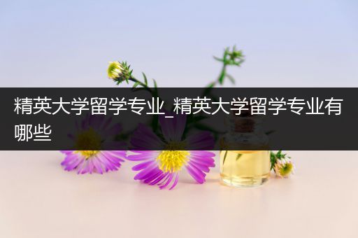 精英大学留学专业_精英大学留学专业有哪些