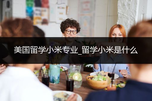 美国留学小米专业_留学小米是什么