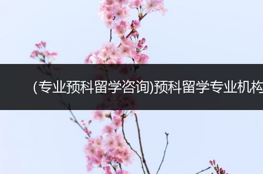 （专业预科留学咨询)预科留学专业机构