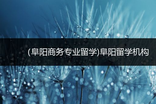 （阜阳商务专业留学)阜阳留学机构