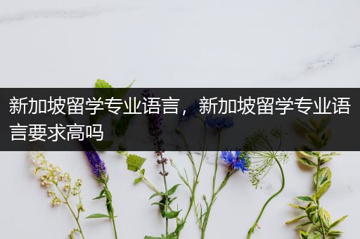 新加坡留学专业语言，新加坡留学专业语言要求高吗