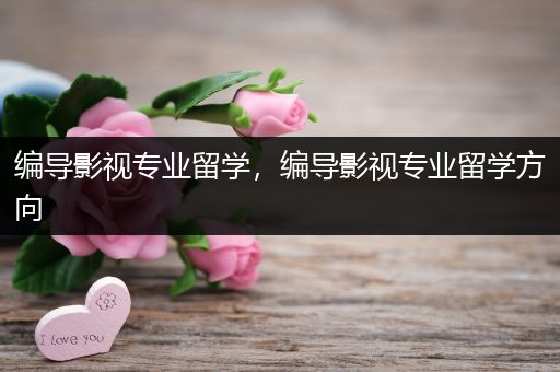 编导影视专业留学，编导影视专业留学方向