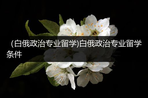 （白俄政治专业留学)白俄政治专业留学条件