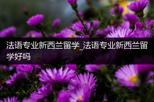 法语专业新西兰留学_法语专业新西兰留学好吗