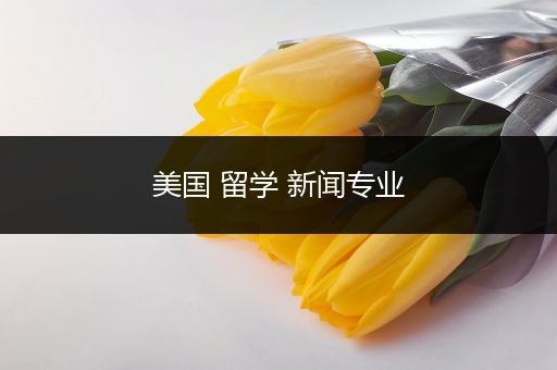 美国 留学 新闻专业