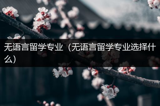 无语言留学专业（无语言留学专业选择什么）