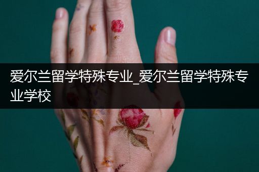 爱尔兰留学特殊专业_爱尔兰留学特殊专业学校