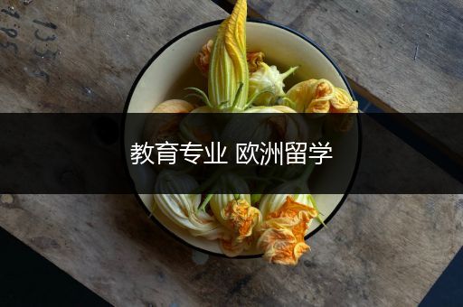 教育专业 欧洲留学