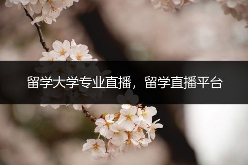 留学大学专业直播，留学直播平台