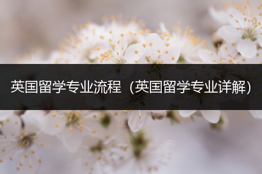 英国留学专业流程（英国留学专业详解）