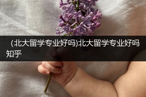 （北大留学专业好吗)北大留学专业好吗知乎