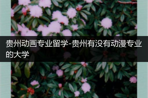 贵州动画专业留学-贵州有没有动漫专业的大学