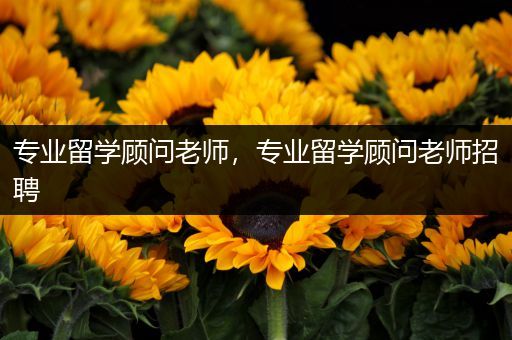 专业留学顾问老师，专业留学顾问老师招聘