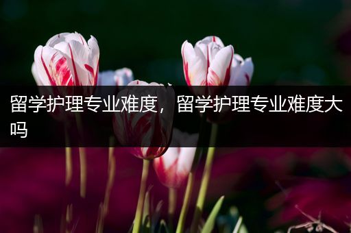 留学护理专业难度，留学护理专业难度大吗