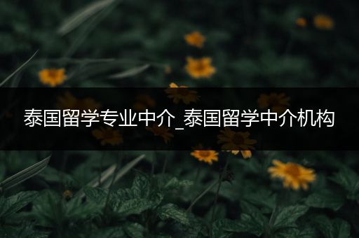 泰国留学专业中介_泰国留学中介机构