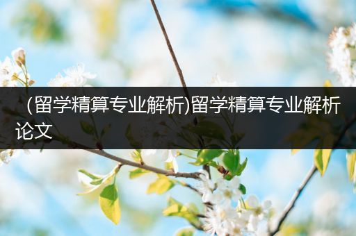 （留学精算专业解析)留学精算专业解析论文