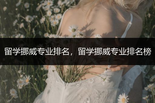 留学挪威专业排名，留学挪威专业排名榜