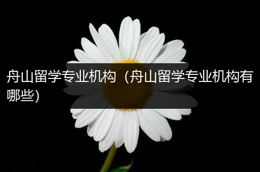 舟山留学专业机构（舟山留学专业机构有哪些）