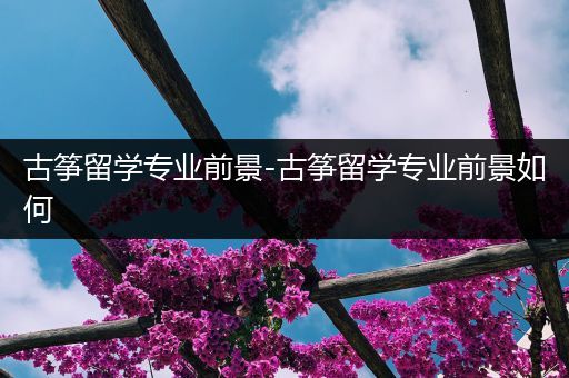 古筝留学专业前景-古筝留学专业前景如何